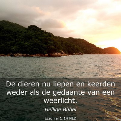 Picture 03 - Ezechiël 1:14 NLD - De dieren nu liepen en keerden weder als de - Bible Verse Picture