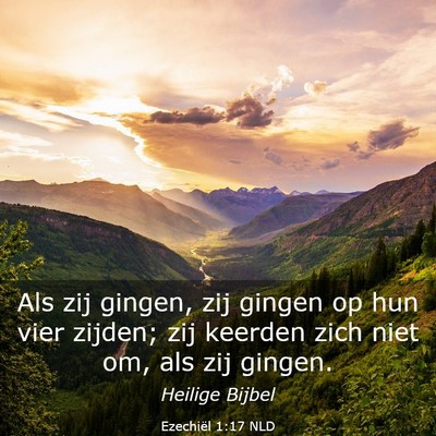 Picture 03 - Ezechiël 1:17 NLD - Als zij gingen, zij gingen op hun vier zijden; - Bible Verse Picture