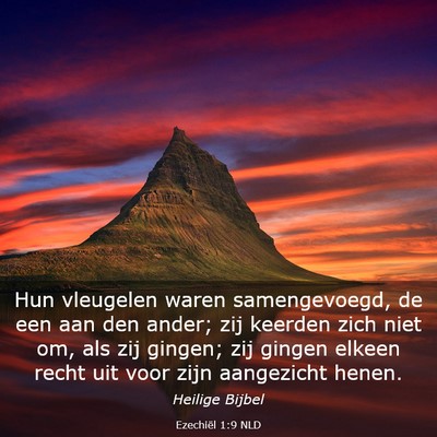 Picture 03 - Ezechiël 1:9 NLD - Hun vleugelen waren samengevoegd, de een aan den - Bible Verse Picture