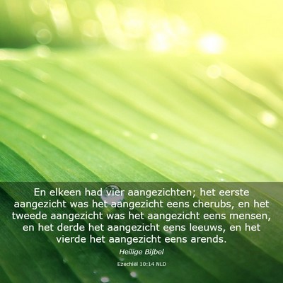 Picture 03 - Ezechiël 10:14 NLD - En elkeen had vier aangezichten; het eerste - Bible Verse Picture