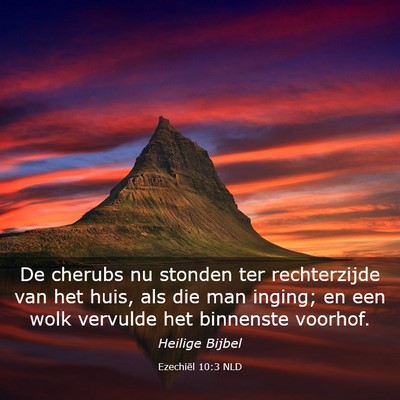 Picture 03 - Ezechiël 10:3 NLD - De cherubs nu stonden ter rechterzijde van het - Bible Verse Picture
