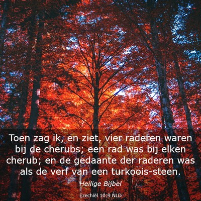 Picture 03 - Ezechiël 10:9 NLD - Toen zag ik, en ziet, vier raderen waren bij de - Bible Verse Picture