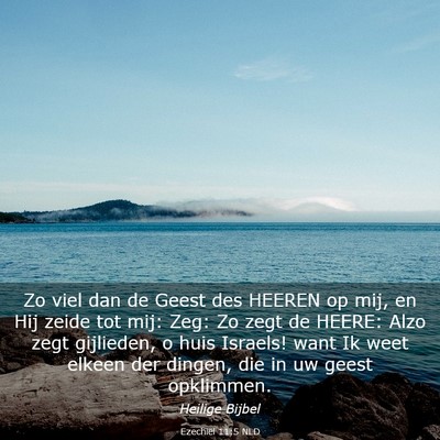Picture 03 - Ezechiël 11:5 NLD - Zo viel dan de Geest des HEEREN op mij, en Hij - Bible Verse Picture