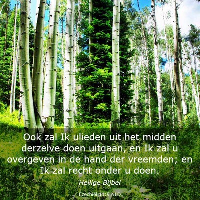 Picture 03 - Ezechiël 11:9 NLD - Ook zal Ik ulieden uit het midden derzelve doen - Bible Verse Picture
