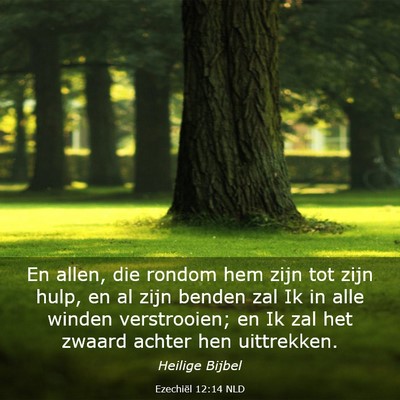Picture 03 - Ezechiël 12:14 NLD - En allen, die rondom hem zijn tot zijn hulp, en - Bible Verse Picture