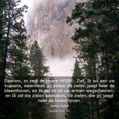 Picture 03 - Ezechiël 13:20 NLD - Daarom, zo zegt de Heere HEERE: Ziet, Ik wil aan - Bible Verse Picture