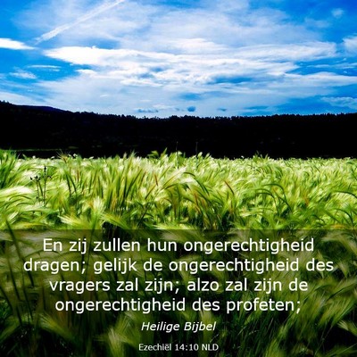 Picture 03 - Ezechiël 14:10 NLD - En zij zullen hun ongerechtigheid dragen; gelijk - Bible Verse Picture