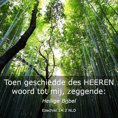 Picture 03 - Ezechiël 14:2 NLD - Toen geschiedde des HEEREN woord tot mij, - Bible Verse Picture