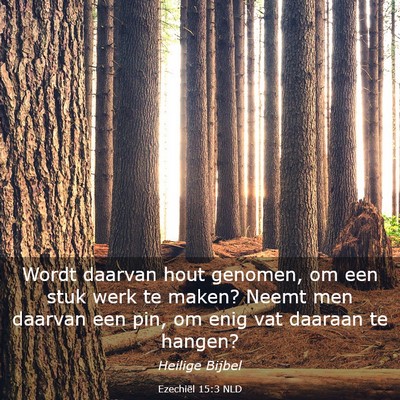 Picture 03 - Ezechiël 15:3 NLD - Wordt daarvan hout genomen, om een stuk werk te - Bible Verse Picture