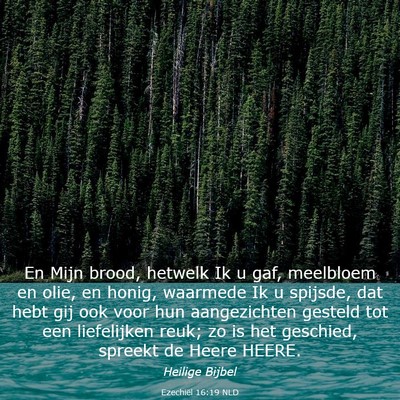 Picture 03 - Ezechiël 16:19 NLD - En Mijn brood, hetwelk Ik u gaf, meelbloem en - Bible Verse Picture