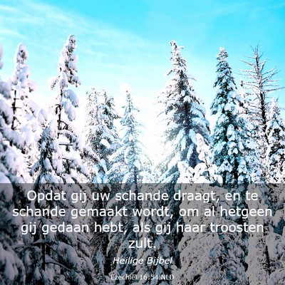 Picture 03 - Ezechiël 16:54 NLD - Opdat gij uw schande draagt, en te schande - Bible Verse Picture