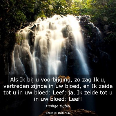 Picture 03 - Ezechiël 16:6 NLD - Als Ik bij u voorbijging, zo zag Ik u, vertreden - Bible Verse Picture