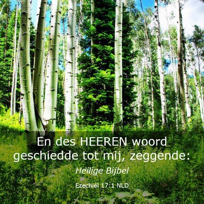 Picture 03 - Ezechiël 17:1 NLD - En des HEEREN woord geschiedde tot mij, - Bible Verse Picture
