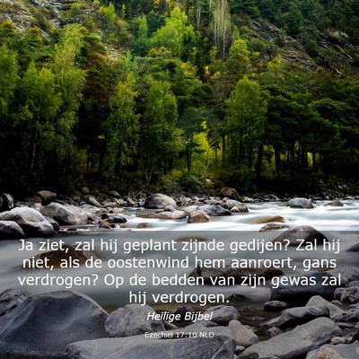 Picture 03 - Ezechiël 17:10 NLD - Ja ziet, zal hij geplant zijnde gedijen? Zal hij - Bible Verse Picture