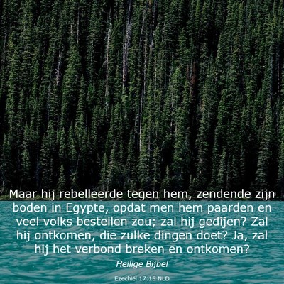 Picture 03 - Ezechiël 17:15 NLD - Maar hij rebelleerde tegen hem, zendende zijn - Bible Verse Picture