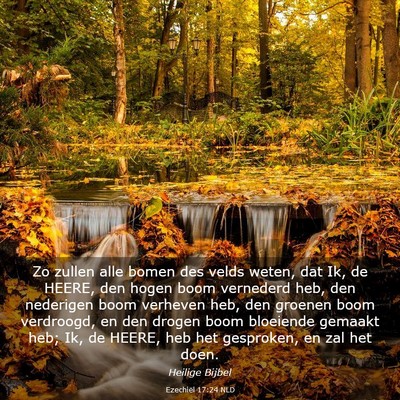 Picture 03 - Ezechiël 17:24 NLD - Zo zullen alle bomen des velds weten, dat Ik, de - Bible Verse Picture