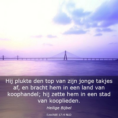 Picture 03 - Ezechiël 17:4 NLD - Hij plukte den top van zijn jonge takjes af, en - Bible Verse Picture