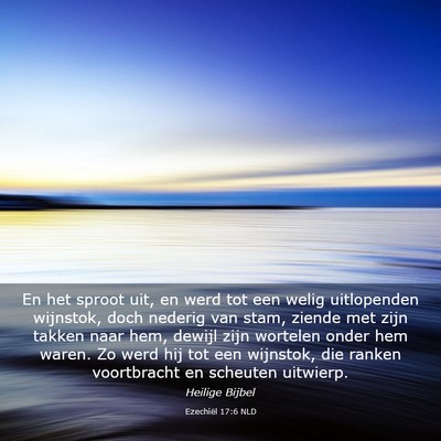Picture 03 - Ezechiël 17:6 NLD - En het sproot uit, en werd tot een welig - Bible Verse Picture