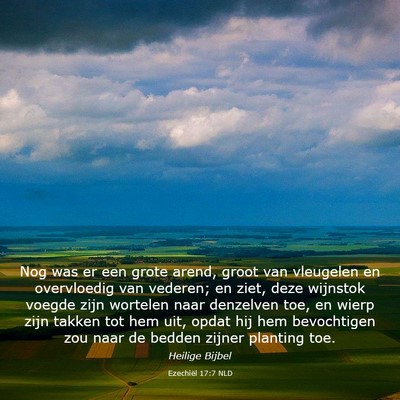Picture 03 - Ezechiël 17:7 NLD - Nog was er een grote arend, groot van vleugelen - Bible Verse Picture