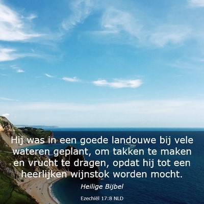 Picture 03 - Ezechiël 17:8 NLD - Hij was in een goede landouwe bij vele wateren - Bible Verse Picture