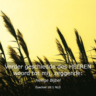 Picture 03 - Ezechiël 18:1 NLD - Verder geschiedde des HEEREN woord tot mij, - Bible Verse Picture