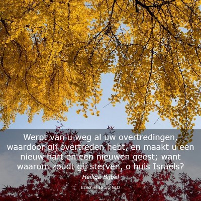 Picture 03 - Ezechiël 18:31 NLD - Werpt van u weg al uw overtredingen, waardoor gij - Bible Verse Picture