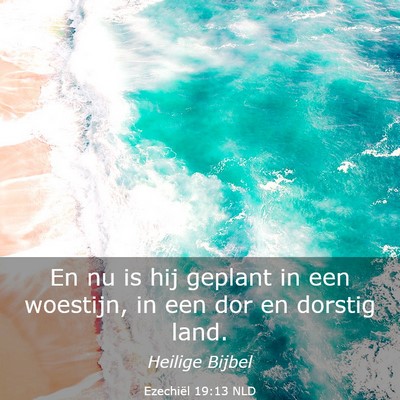 Picture 03 - Ezechiël 19:13 NLD - En nu is hij geplant in een woestijn, in een dor - Bible Verse Picture