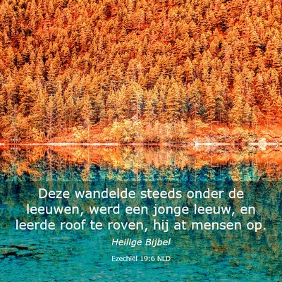 Picture 03 - Ezechiël 19:6 NLD - Deze wandelde steeds onder de leeuwen, werd een - Bible Verse Picture