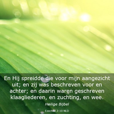 Picture 03 - Ezechiël 2:10 NLD - En Hij spreidde die voor mijn aangezicht uit; en - Bible Verse Picture