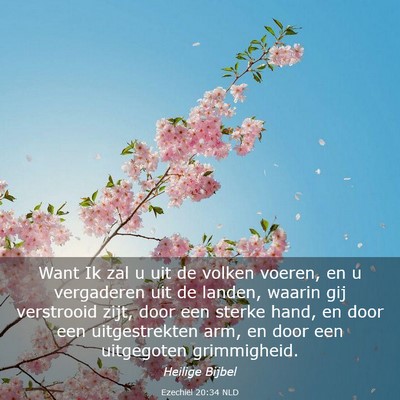 Picture 03 - Ezechiël 20:34 NLD - Want Ik zal u uit de volken voeren, en u - Bible Verse Picture