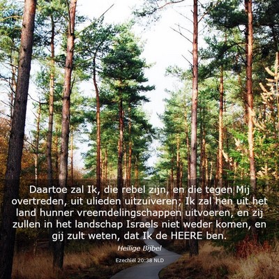 Picture 03 - Ezechiël 20:38 NLD - Daartoe zal Ik, die rebel zijn, en die tegen Mij - Bible Verse Picture