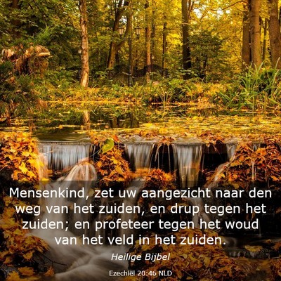 Picture 03 - Ezechiël 20:46 NLD - Mensenkind, zet uw aangezicht naar den weg van - Bible Verse Picture