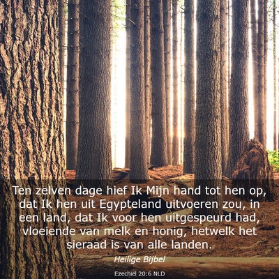 Picture 03 - Ezechiël 20:6 NLD - Ten zelven dage hief Ik Mijn hand tot hen op, dat - Bible Verse Picture