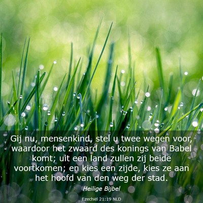 Picture 03 - Ezechiël 21:19 NLD - Gij nu, mensenkind, stel u twee wegen voor, - Bible Verse Picture