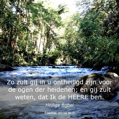 Picture 03 - Ezechiël 22:16 NLD - Zo zult gij in u ontheiligd zijn voor de ogen der - Bible Verse Picture