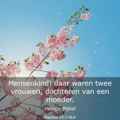 Picture 03 - Ezechiël 23:2 NLD - Mensenkind! daar waren twee vrouwen, dochteren - Bible Verse Picture
