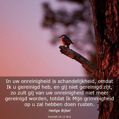 Picture 03 - Ezechiël 24:13 NLD - In uw onreinigheid is schandelijkheid, omdat Ik u - Bible Verse Picture
