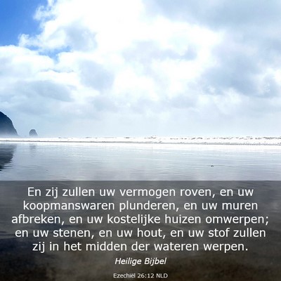 Picture 03 - Ezechiël 26:12 NLD - En zij zullen uw vermogen roven, en uw - Bible Verse Picture
