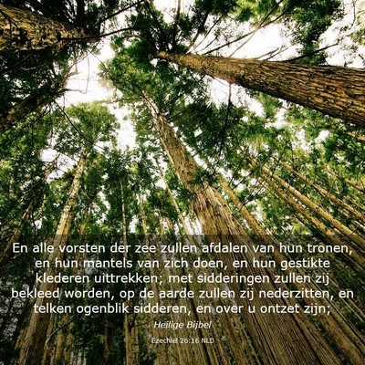 Picture 03 - Ezechiël 26:16 NLD - En alle vorsten der zee zullen afdalen van hun - Bible Verse Picture