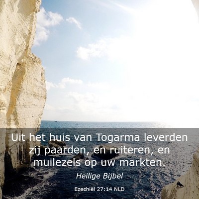 Picture 03 - Ezechiël 27:14 NLD - Uit het huis van Togarma leverden zij paarden, en - Bible Verse Picture
