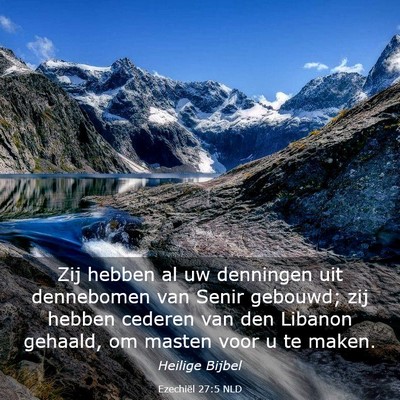 Picture 03 - Ezechiël 27:5 NLD - Zij hebben al uw denningen uit dennebomen van - Bible Verse Picture