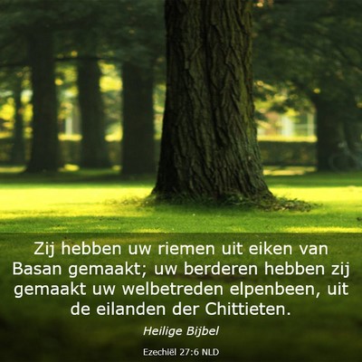 Picture 03 - Ezechiël 27:6 NLD - Zij hebben uw riemen uit eiken van Basan gemaakt; - Bible Verse Picture