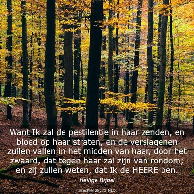 Picture 03 - Ezechiël 28:23 NLD - Want Ik zal de pestilentie in haar zenden, en - Bible Verse Picture