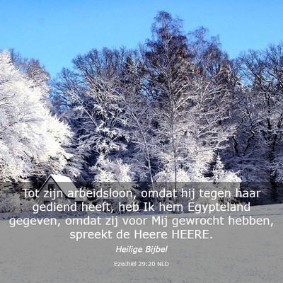 Picture 03 - Ezechiël 29:20 NLD - Tot zijn arbeidsloon, omdat hij tegen haar - Bible Verse Picture