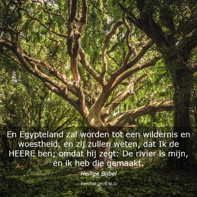 Picture 03 - Ezechiël 29:9 NLD - En Egypteland zal worden tot een wildernis en - Bible Verse Picture