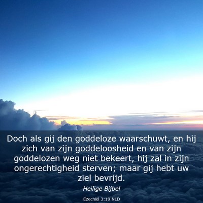 Picture 03 - Ezechiël 3:19 NLD - Doch als gij den goddeloze waarschuwt, en hij - Bible Verse Picture