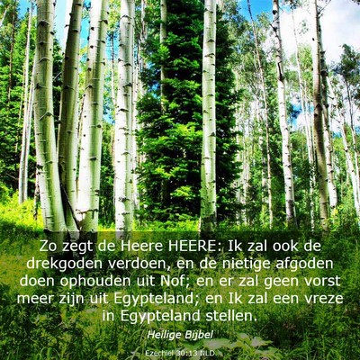 Picture 03 - Ezechiël 30:13 NLD - Zo zegt de Heere HEERE: Ik zal ook de drekgoden - Bible Verse Picture