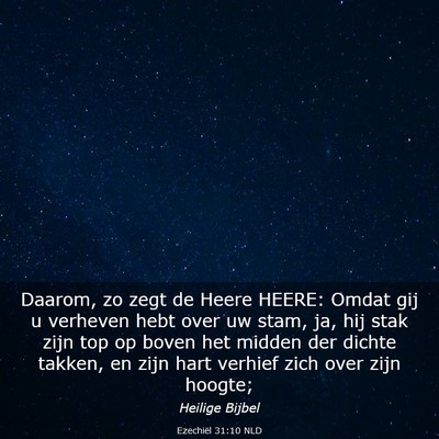 Picture 03 - Ezechiël 31:10 NLD - Daarom, zo zegt de Heere HEERE: Omdat gij u - Bible Verse Picture