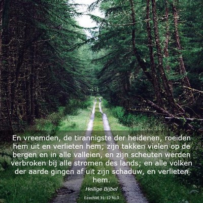Picture 03 - Ezechiël 31:12 NLD - En vreemden, de tirannigste der heidenen, roeiden - Bible Verse Picture