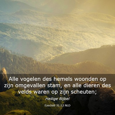 Picture 03 - Ezechiël 31:13 NLD - Alle vogelen des hemels woonden op zijn - Bible Verse Picture